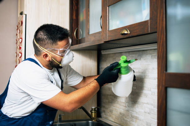 Best Local Pest Control Services  in Grapevine, TX