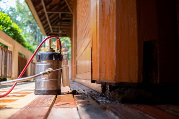 Best Ant Control Services  in Grapevine, TX