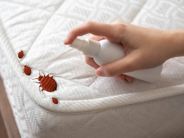 Best Pest Control for Homes  in Grapevine, TX